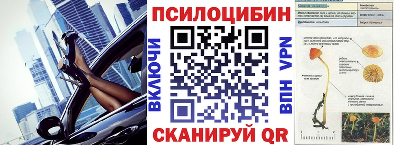 Галлюциногенные грибы GOLDEN TEACHER  Купить закладки  Борисоглебск 
